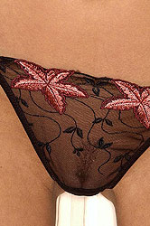 Sexy babe Sophie Moone strips nude