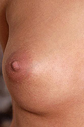 Gorgeous babe Vanessa strips nude