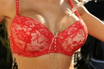 Alexa is wahing her car and takes off wet stuff