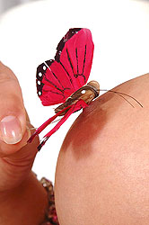 Celebrity star Aria Giovanni nude