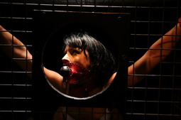 Two lesbian babes in a hardcore dominated action