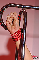 Awsome babe Bambi tied with rope