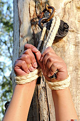 Aria & Jelena having bondage sex