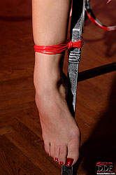 Teen bound Teena Lipoldino peeing