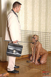 Blonde Valentina Blue peeing as dog