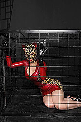 Gorgeous cat women craves a cock!