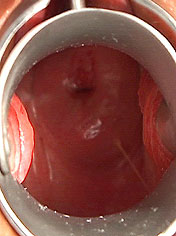 Wonderful pussied babe toyin with dildo and speculum