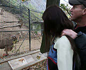 Molly - Trashy European Brunette Molly rides a huge cock