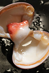 My first time eating oysters by Lust Cinema