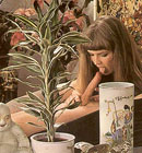 Two hairy seventies ladies sharing two big stiffy dicks