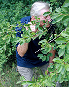 Peeking at enormous breasts on hot blonde brings senior sex