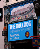 Spanish brunette whore gets fucked by tourist in Amsterdam