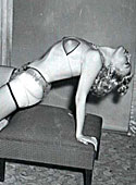 Sensual model from the fifties showing her beautiful body