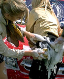 Two cute car washing lesbian hotties love getting dirty