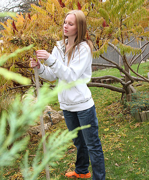 A hot teenage sweetheart drilled by a giant cock hardcore