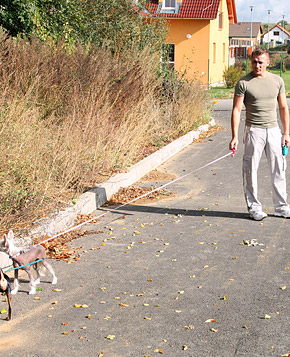 Lucky horny guy drilling a very cute willing teen beauty