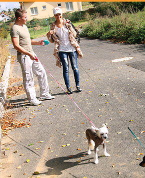 Lucky horny guy drilling a very cute willing teen beauty