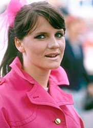 
 Sixties rollercoaster