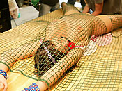 Brookes little workshop - Brookes little workshop