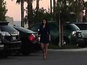 Pervert Streaker Strikes Again - Pervert Streaker Strikes Again