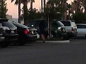 Pervert Streaker Strikes Again - Pervert Streaker Strikes Again