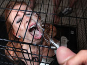 Scarlett Pain - Scarlett Pain gets covered in a face full of cum!