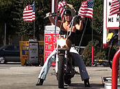  Motoslut Get Sharked - Motoslut Get Sharked