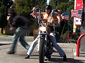  Motoslut Get Sharked - Motoslut Get Sharked