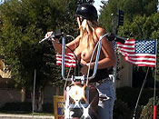  Motoslut Get Sharked - Motoslut Get Sharked