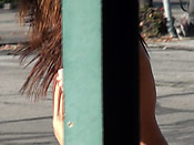 Sharking Girl With Perfect Boobs - Sharking Girl With Perfect Boobs