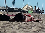 Sunny Beach Day Violation - Sunny Beach Day Violation