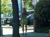 Green Panty Sharking - Green Panty Sharking