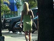 Green Panty Sharking - Green Panty Sharking