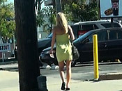 Green Panty Sharking - Green Panty Sharking