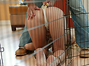 Teagan Summers - Spolied rich brat punished with the cock