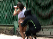 SHARK ATTACK - SHARK ATTACK