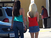 Big Tit Whores Sharked - Big Tit Whores Sharked