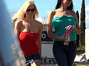 Big Tit Whores Sharked - Big Tit Whores Sharked