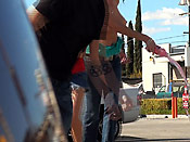 Big Tit Whores Sharked - Big Tit Whores Sharked