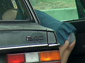 Public Gas Station Sharking - Public Gas Station Sharking