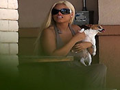 Need a Condom - Need a Condom