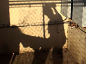 Stripped and fucked in public - Stripped and fucked in public