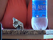 Big titty public mayhem - Big titty public mayhem