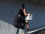 Laundry day gets interesting - Laundry day gets interesting