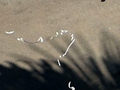 Fap street blues - Fap street blues