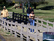 Department Store Boobies! - Girls sharked, stripped and pantsed in public!