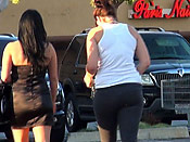 Big titty double sharking - Big titty double sharking