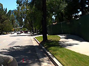 Dumb bitch violation - Dumb bitch violation