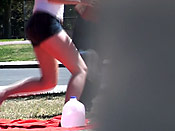 Its a bird - Its a bird - its a plane