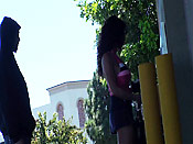 Brunette stalking cumshot - Brunette stalking cumshot